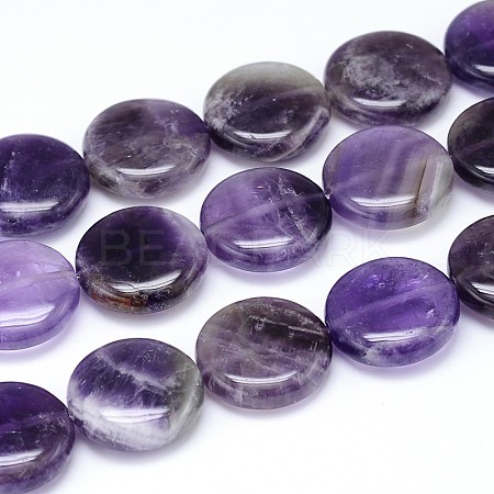 Natural Amethyst Flat Round Bead Strands G-L246-23-1