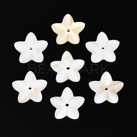 Natural Freshwater Shell Beads BSHE-T014-14-1