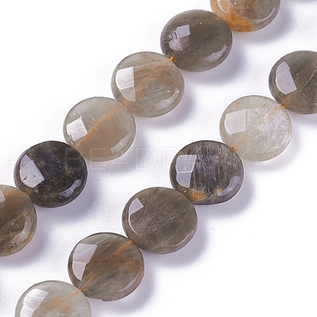 Natural Black Sunstone Beads Strands G-L492-06C-06C-1