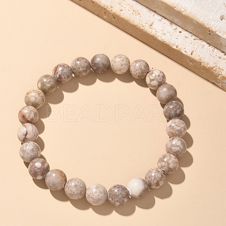 Natural Maifanite/Maifan Stone Bead Stretch Bracelets X-BJEW-K212-B-044-1