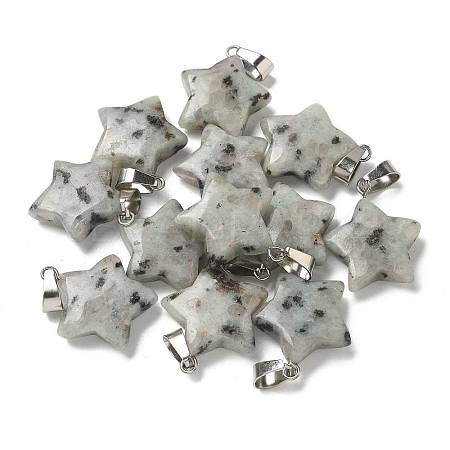 Natural Sesame Jasper Pendants G-B127-12P-11-1