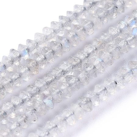 Natural Labradorite Beads Strands G-E560-R06-01-1