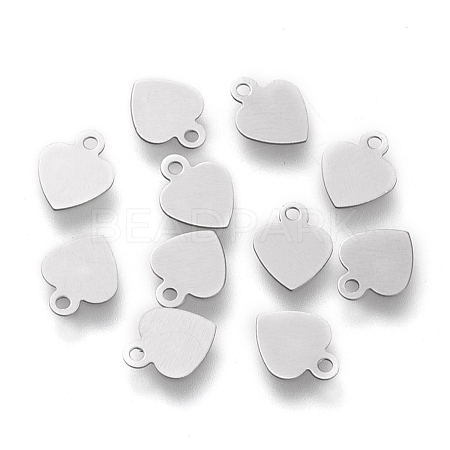 Non-Tarnish 304 Stainless Steel Charms STAS-K195-13P-1