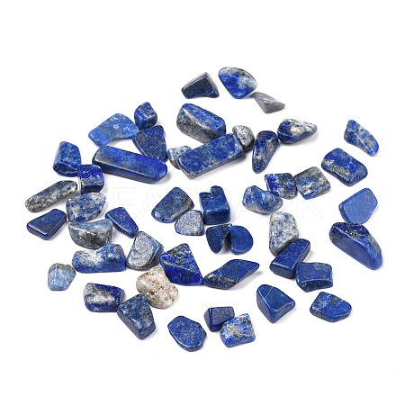 Natural Lapis Lazuli Beads LS-X-G-I304-02-1