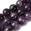 Natural Amethyst Beads Strands G-E481-03-12mm-1