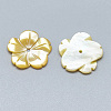 Yellow Shell Beads SSHEL-S260-063-2