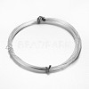 Round Aluminum Craft Wire AW-D009-2.5mm-5m-01-1