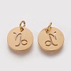 Ion Plating(IP) 304 Stainless Steel Pendants A-STAS-Q201-T445-10G-2
