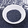 MIYUKI Delica Beads SEED-J020-DB0301-2