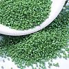 MIYUKI Delica Beads SEED-X0054-DB0163-1