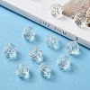 Transparent Acrylic Beads X-PL739-6