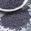 MIYUKI Delica Beads X-SEED-J020-DB2292-1