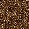TOHO Round Seed Beads SEED-JPTR11-0278-2