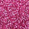 Glass Seed Beads X-SEED-S042-04B-19-3