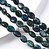 Natural Chrysocolla and Lapis Lazuli Beads Strands G-N330-031-4