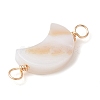 2Pcs 2 Styles Natural Freshwater Shell Connector Charms PALLOY-JF02440-02-4