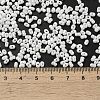 Glass Seed Beads SEED-K009-02A-10-4