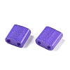 2-Hole Baking Paint Glass Seed Beads SEED-S023-17C-24-2