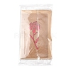 3 Sets Kraft Paper Greeting Cards AJEW-FS0001-27B-6