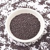 MIYUKI Delica Beads SEED-MY11-DB0735-2