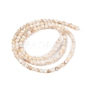 Natural Freshwater Shell Beads Strands X-SHEL-T011-02-3mm-2