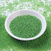 MIYUKI Round Rocailles Beads SEED-G007-RR0259-2