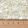 Two Tone Baking Paint Glass Seed Beads SEED-F005-01A-10-4