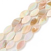 Natural Freshwater Shell Beads Strands X-SHEL-T009-22-1