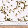 MIYUKI Delica Beads SEED-MY11-DB1739-4
