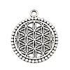 Tibetan Style Alloy Pendants AL-CBA1187-16AS-1