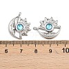 304 Stainless Steel Rhinestone Pendants STAS-Z166-24P-12-3