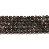 Natural Silver Sheen Obsidian Beads Strands G-E608-A02-B-1