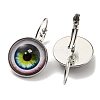 Eye Glass Leverback Earrings with Brass Earring Pins EJEW-Q798-01I-2