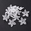5-Petal Transparent Acrylic Bead Caps OACR-A017-15-1