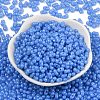 Baking Paint Glass Seed Beads SEED-L011-09A-05-2