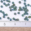 MIYUKI Round Rocailles Beads X-SEED-G007-RR0156FR-4