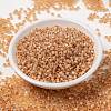 MIYUKI Round Rocailles Beads SEED-JP0009-RR0580-2