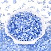 Drawbench Style Glass Seed Beads SEED-N008-10I-2