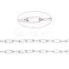 Tarnish Resistant 304 Stainless Steel Paperclip Chains CHS-F010-01I-P-1