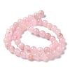 Natural Rose Quartz Dyed Beads Strands G-B046-07-10MM-4