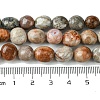 Natural Fossil Coral Beads Strands G-G117-A01-02-5