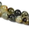 Natural Prehnite Beads Strands G-G457-10mm-03-4