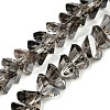 Electroplate Transparent Glass Beads Strands EGLA-P052-02A-PL03-1