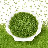 8/0 Glass Seed Beads SEED-A008-3mm-M4-2