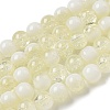 Crackle Glass Beads Strands GLAA-U001-8mm-11-1