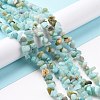 Natural Amazonite Chips Beads Strands G-M205-12A-2