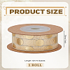 Organza Ribbons SRIB-LP0001-06-2
