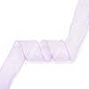 20 Yards Polyester Mesh Ribbon SRIB-P021-E01-1