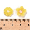 Luminous Resin Decoden Cabochons RESI-K036-05C-4