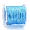 Polyester Braided Metallic Thread OCOR-I007-B-18-2
